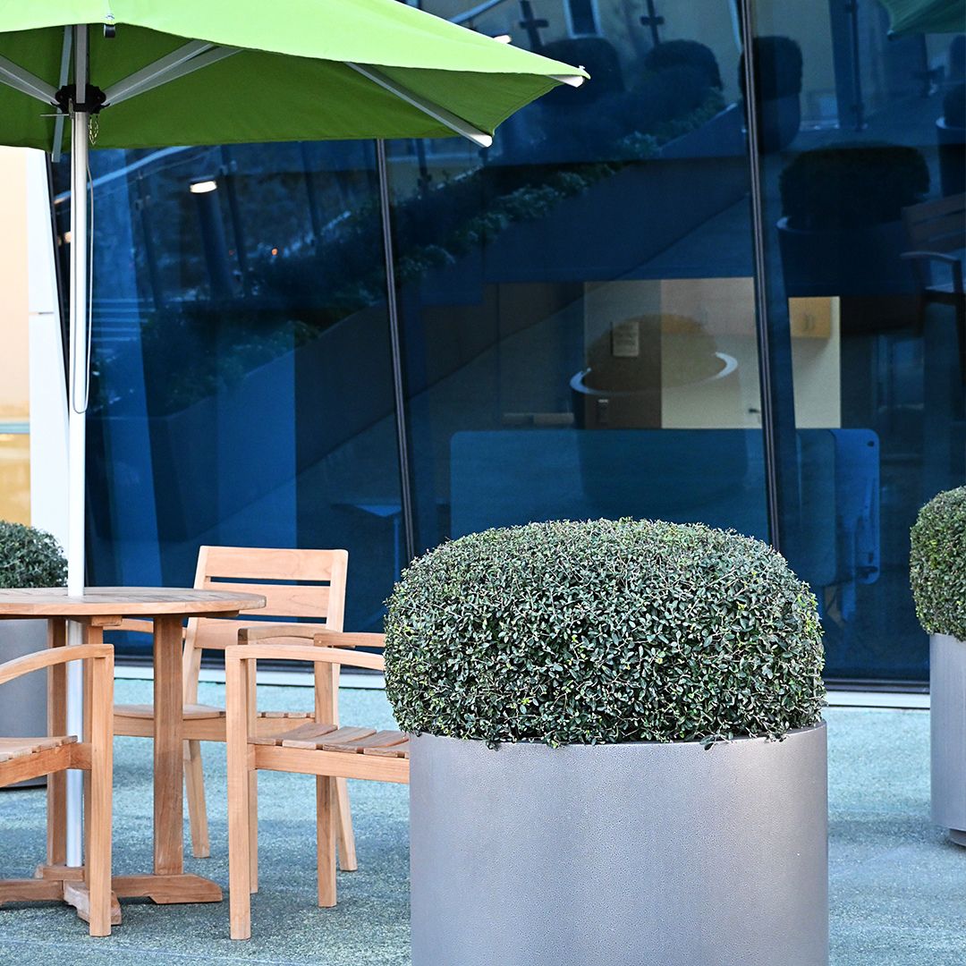 Relaxing outdoor seating area featuring a green umbrella and planters on the exclusive Museo rooftop garden event space.