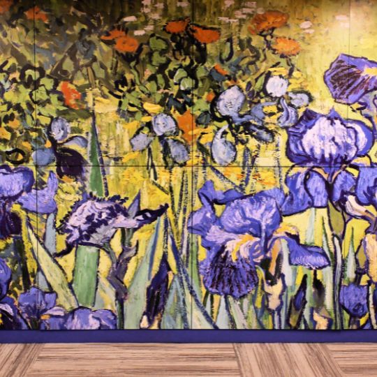 Van Gogh - Irises